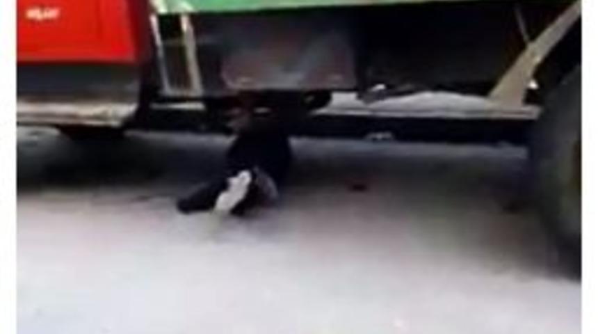 Bonzai Kullanan Gencin İ&ccedil;ler Acısı Hali