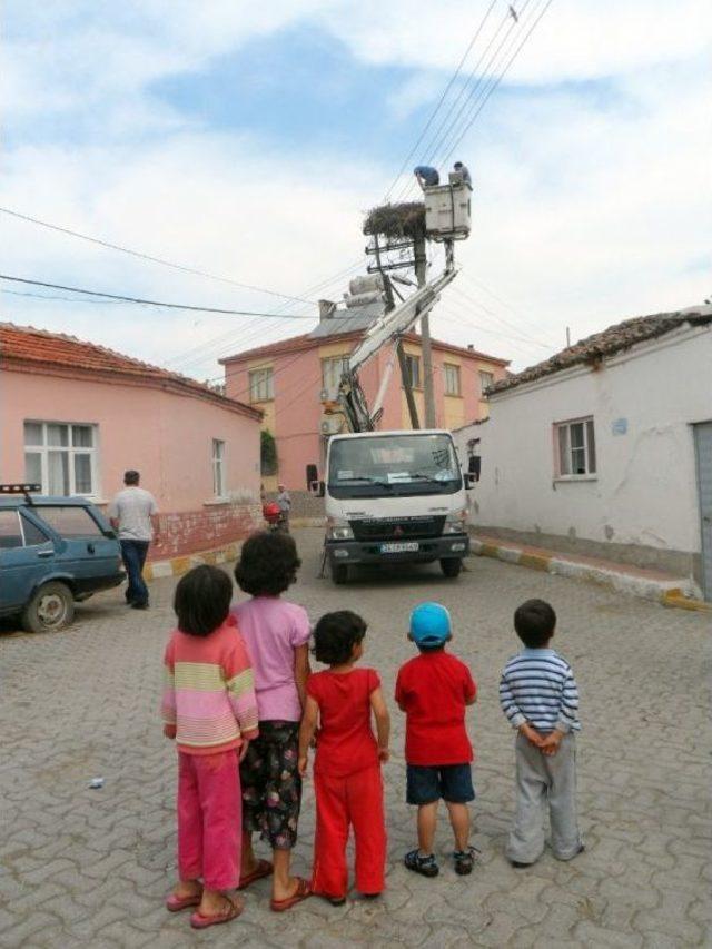 Manisa’da Leyleklere İlk Halkalama Gerçekleştirildi