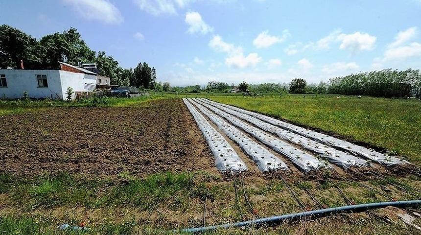 Destek B&uuml;y&uuml;kşehirden Marka &Ccedil;ift&ccedil;iden