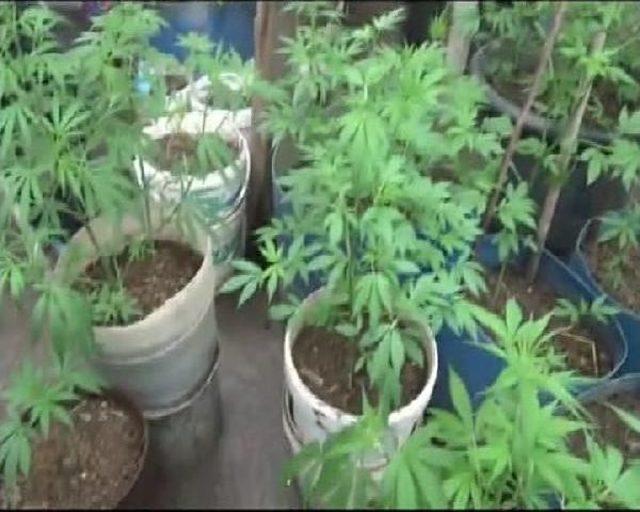 Ataşehir de Gecekondulara Uyuşturucu Baskını 1