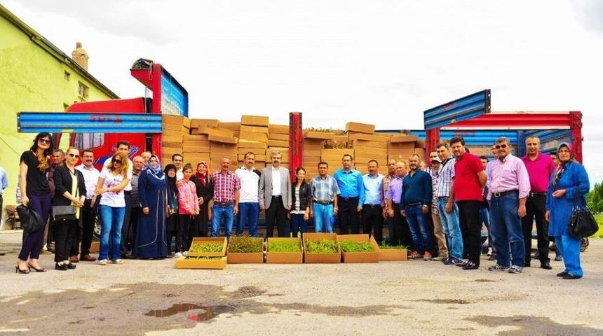 83 Bin Adet Tıbbi Ve Aromatik Bitki Dağıtım T&ouml;reni Yapıldı