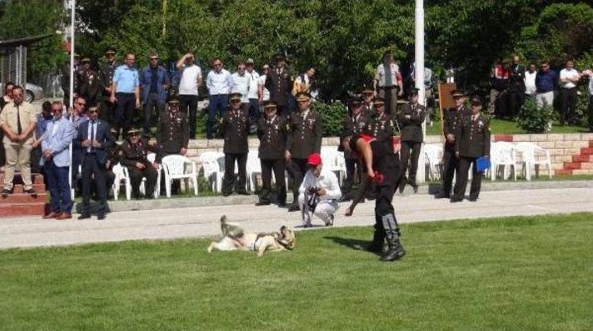 Edirne Ve Tekirdağ'da Jandarmanın Kuruluşu Kutlandı