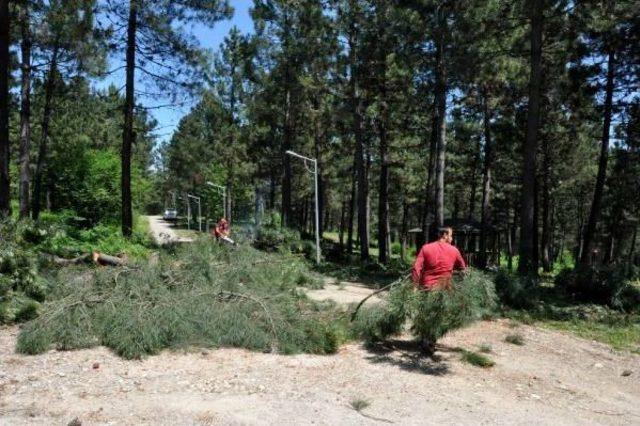 Bartın Şehir Ormanı nda Ağa&ccedil; Kesimine Tepki 2