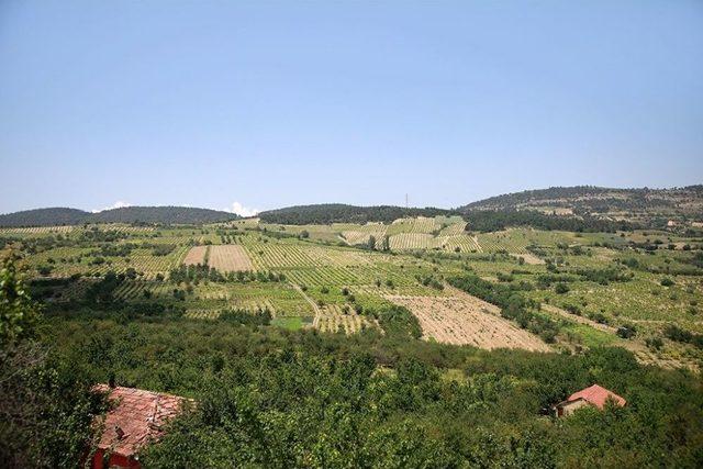 Sakarya’da Binlerce Dönüm Tarım Arazisi Suyla Buluşuyor 1