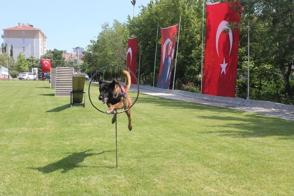 K&ouml;pekler Jandarma Teşkilatının Kuruluş Yıld&ouml;n&uuml;m&uuml;nde H&uuml;nerlerini Sergiledi