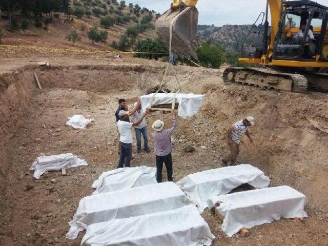 Cami Inşaatında Bulunan Lahitler Müzeye Taşındı