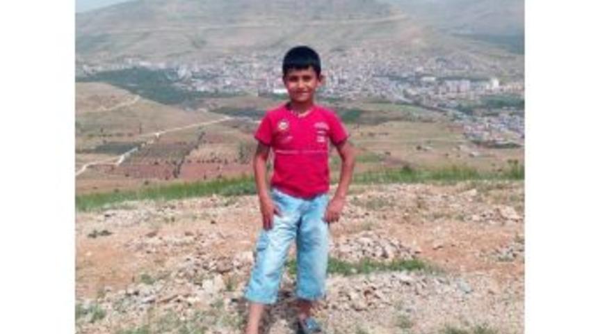 Dut Ağacından Düşen Çocuk, 2 Gün Sonra Hastanede Öldü