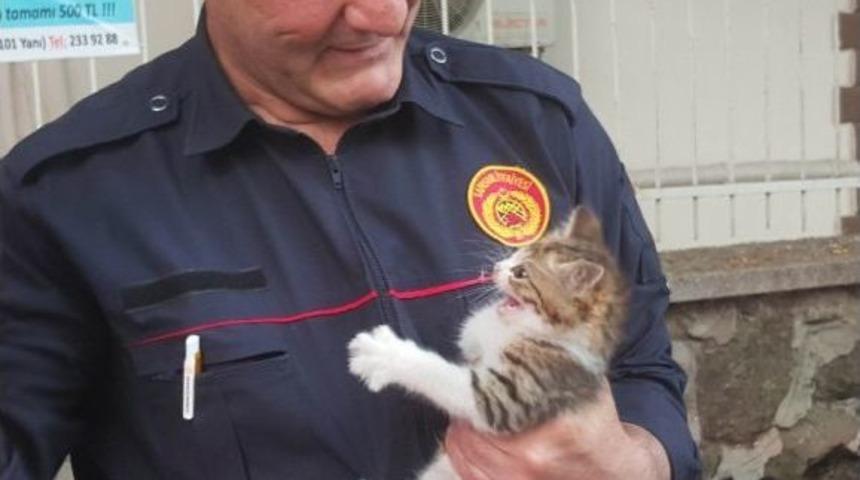 Ağa&ccedil;ta Mahsur Kalan Yavru Kediyi İtfaiye Kurtardı