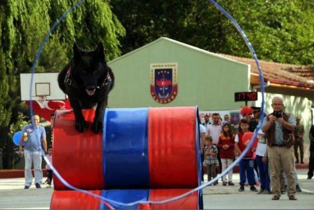 Tokat'ta Jandarma Teşkilatı'nın 178'inci Kuruluş Yıldönümü Kutlandı