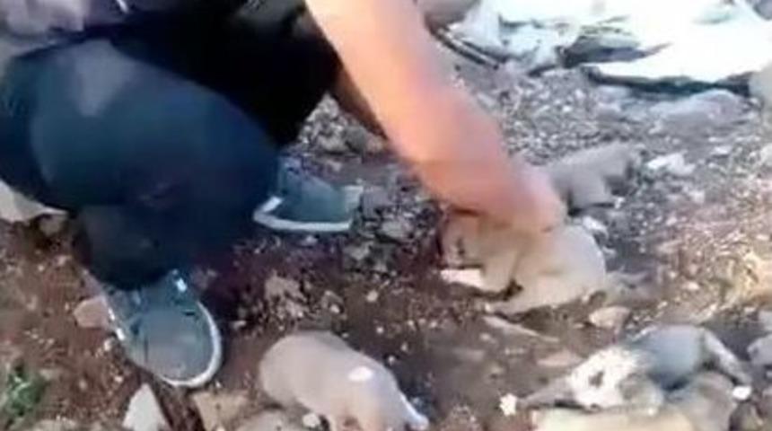 İdil&rsquo;de Kan Donduran Vahşet