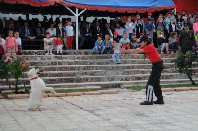 Tunceli'de Jandarmanın Dedetör Köpekleri Nefes Kesti