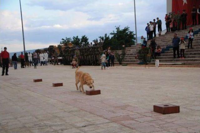 Tunceli'de Jandarmanın Dedetör Köpekleri Nefes Kesti