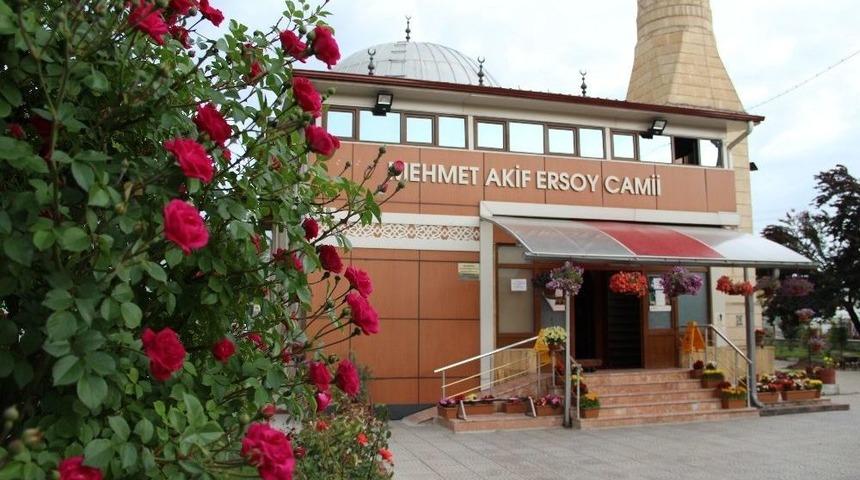 Botanik Bah&ccedil;esi Gibi Cami
