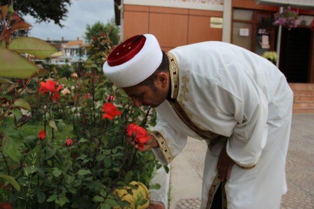 Botanik Bahçesi Gibi Cami