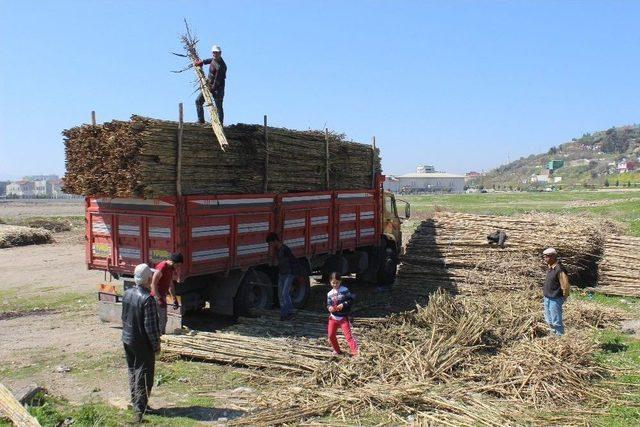 Aydın Kargısı İle De Ünlü