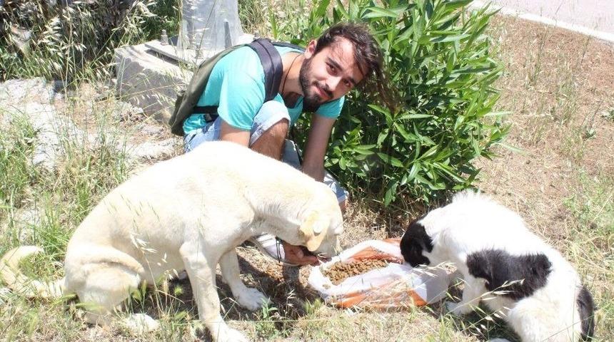 (&ouml;zel Haber) K&ouml;pek Besleyen Gen&ccedil;lere Saldırı Anı Kamerada