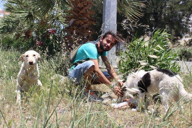 (özel Haber) Köpek Besleyen Gençlere Saldırı Anı Kamerada