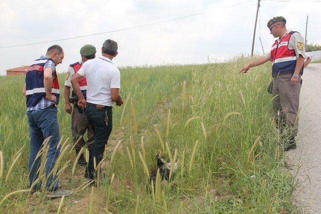 (özel Haber) Başkent’te Vahşet