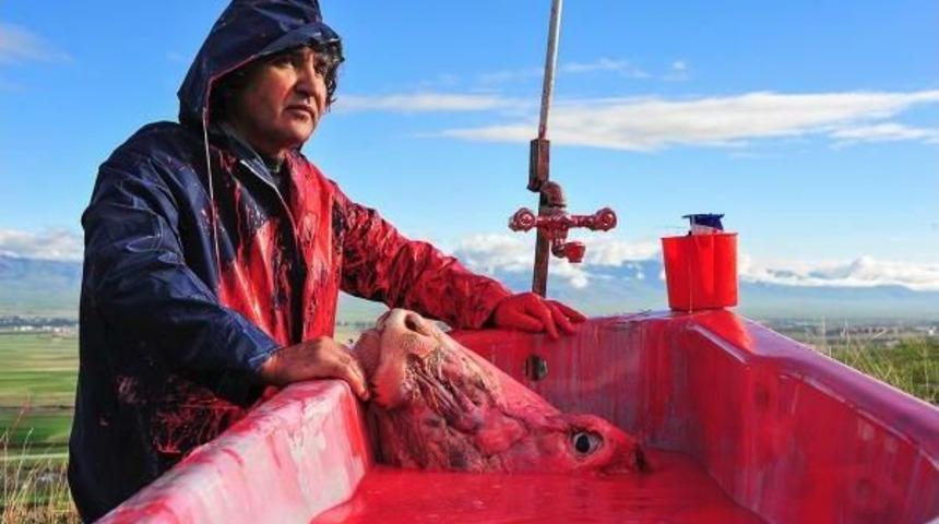 Profes&ouml;rden Ter&ouml;re, &Ouml;k&uuml;zbaşlı Ve K&uuml;vetli Tepki