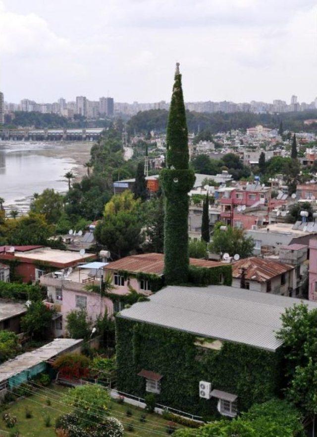 Botanik Bahçesi Değil Cami