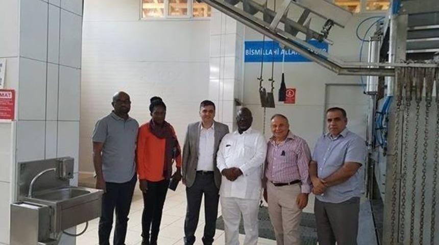 Başkan Yal&ccedil;ın Mezbahaneyi İnceledi