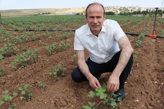 Ter&ouml;r Bitti &Ccedil;ift&ccedil;i Bayram Etti 1