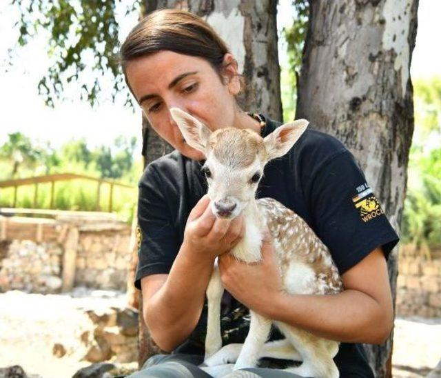 Doğal Yaşam'ın Sevimlisi