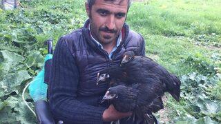 Hediye Edilen Akülü Tekerlekli Sandalye Ve Tavuklarla Hayata Yeniden Tutundu