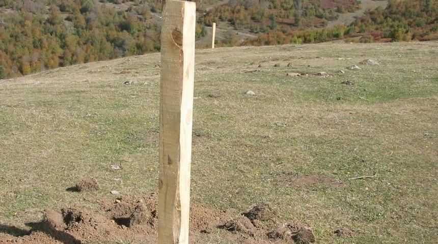 Ordu Yaylalarına 24 Adet Kaşınma Kazığı