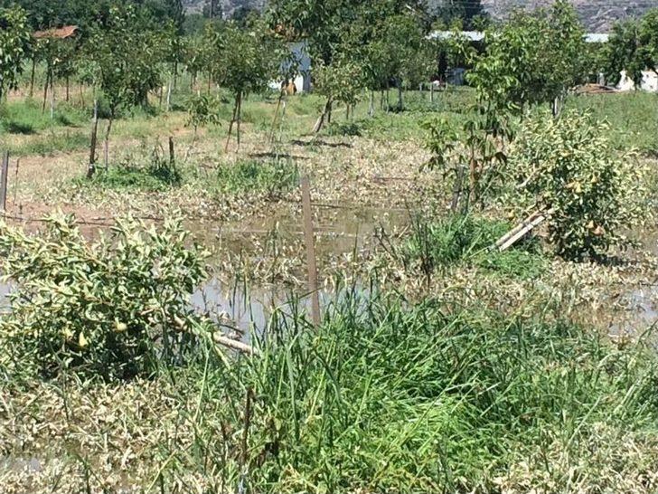 Aydın’da Selin Yaralarının Sarılması İçin Çalışma Başlatıldı G1