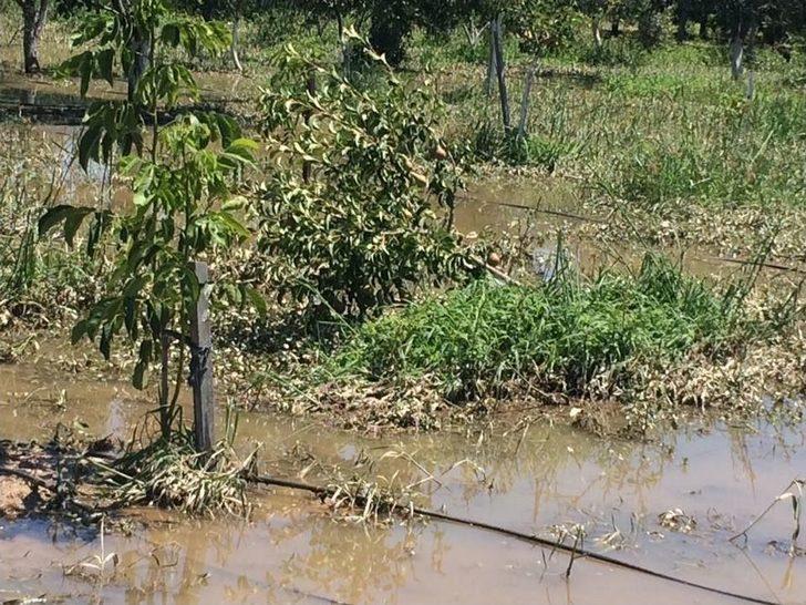 Aydın’da Selin Yaralarının Sarılması İçin Çalışma Başlatıldı G2