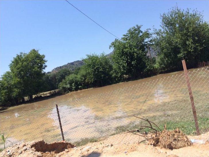 Aydın’da Selin Yaralarının Sarılması İçin Çalışma Başlatıldı G5