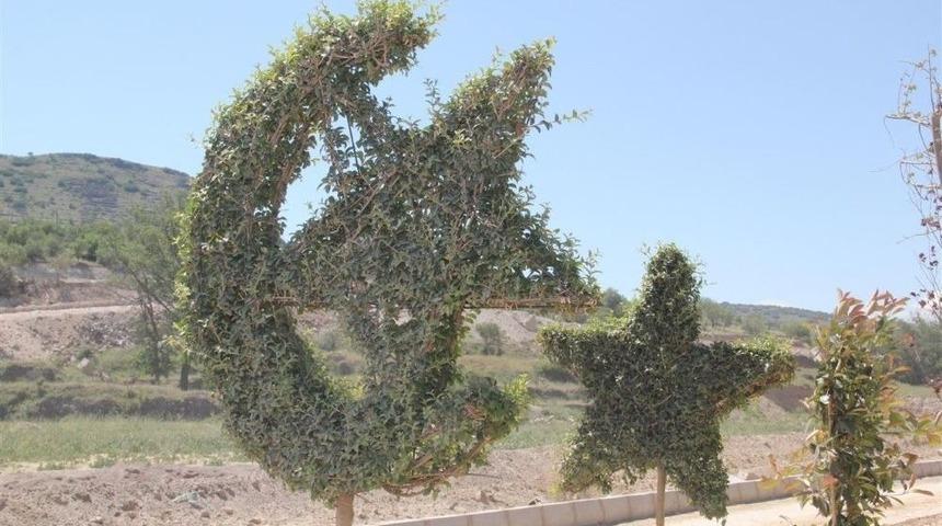 Nevşehir&rsquo;e Botanik Park Yapılıyor