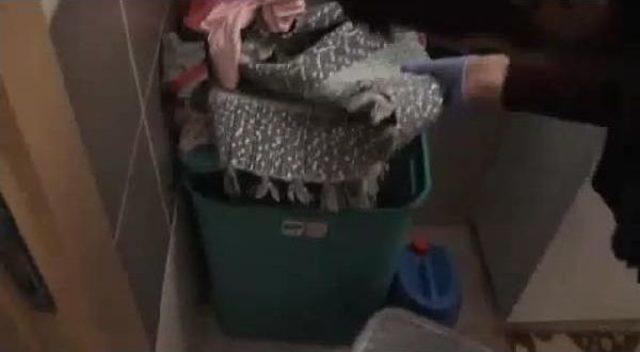 3 Ilde Deaş Operasyonu: 6 G&ouml;zaltı 3