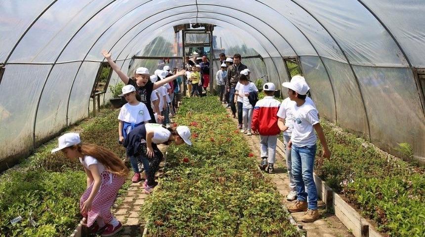 Giresun&rsquo;da &ldquo;lider &Ccedil;ocuk Tarım Kampı&rdquo; D&uuml;zenlendi