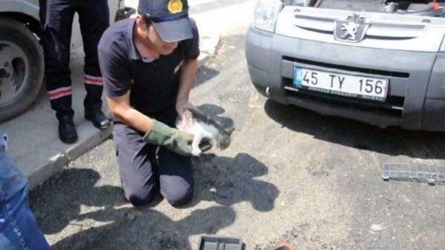 Otomobilin Radyatör Bölümüne Giren Kediyi Itfaiye Kurtardı