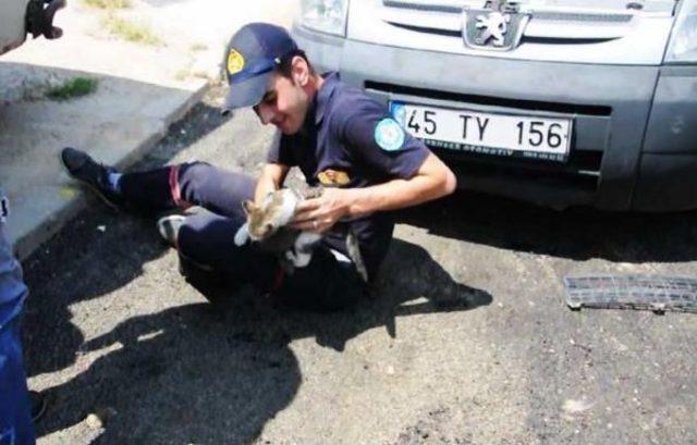 Otomobilin Radyatör Bölümüne Giren Kediyi Itfaiye Kurtardı