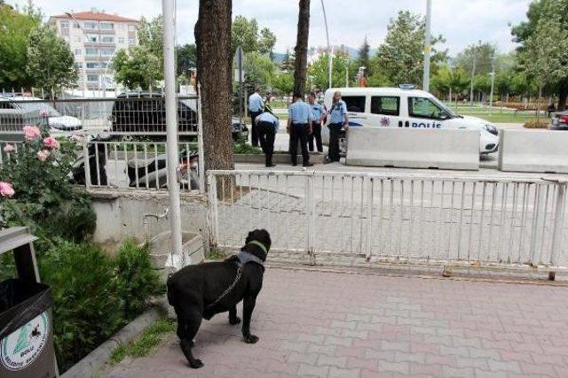 Pitbull Sanılan Köpek Korkuttu