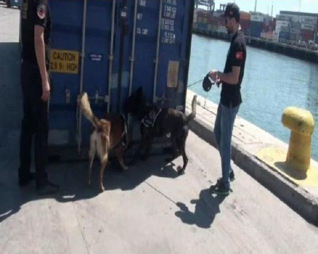 Ambarlı Limanı'ndaki Kokain Operasyonu Polis Kamerasında