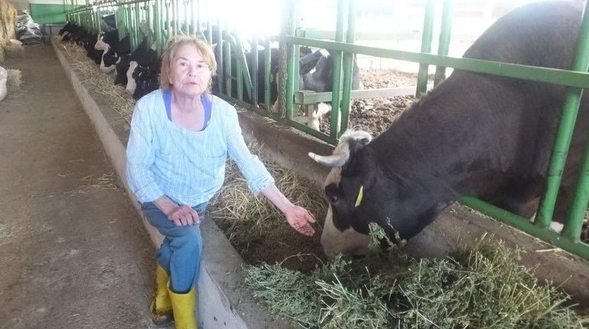 Burhaniye&rsquo; De Bayan M&uuml;hendis Damızlık &Uuml;retimine Başladı