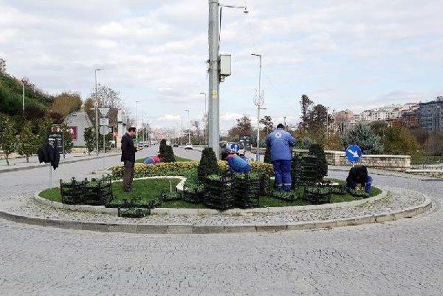 Kağıthane Çiçek Açtı