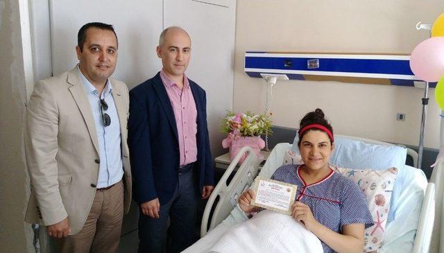 &ldquo;yeni Doğan Ormanı&rdquo; Sinop&rsquo;ta Filizlendi 1