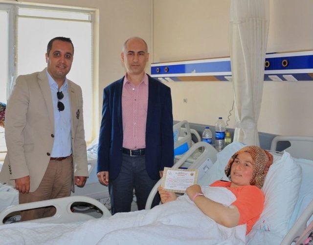 &ldquo;yeni Doğan Ormanı&rdquo; Sinop&rsquo;ta Filizlendi 2