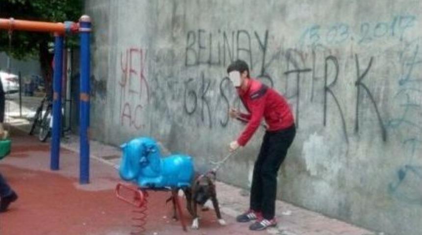 Köpeğin Saldırdığı Adam Kolundan Yaralandı