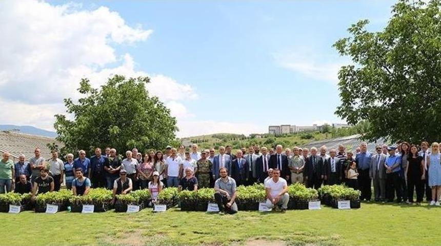 Tokat&rsquo;ta 12 Bin Adet T&uuml;pl&uuml; Asma Fidanı Dağıtıldı