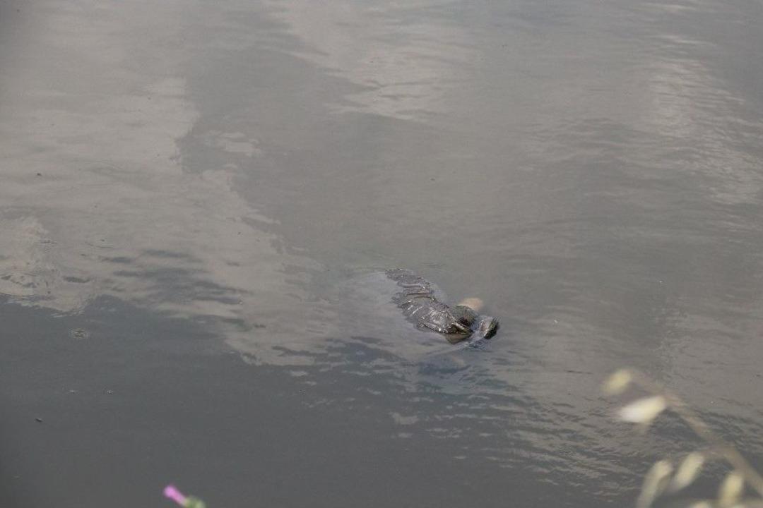 Derede &Ouml;l&uuml; Bulundu
