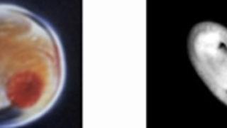 Gebeliğin Dönemleri