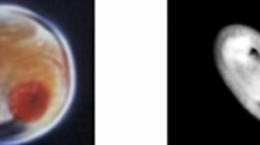 Gebeliğin D&ouml;nemleri