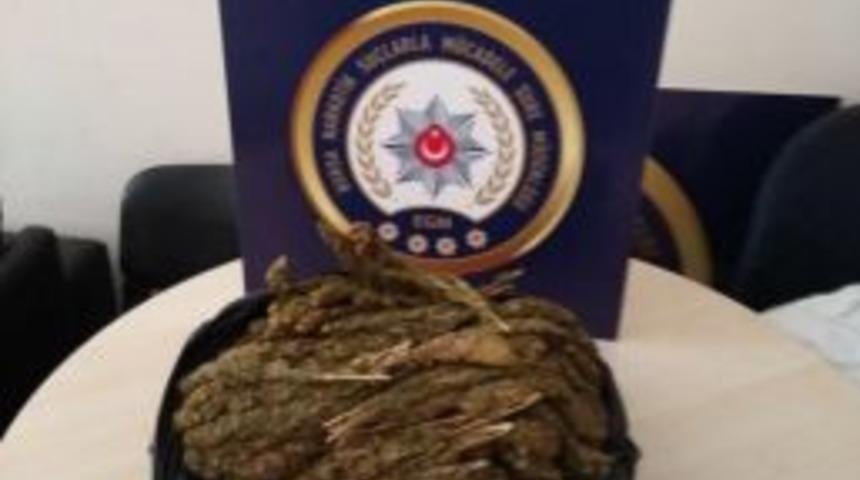 Bursa’da Zehir Tacirlerine Operasyon: 3 Gözaltı