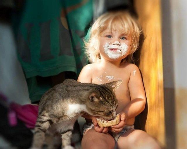 Çocuklara neden kedi gerektiğinin kanıtı 20 fotoğraf